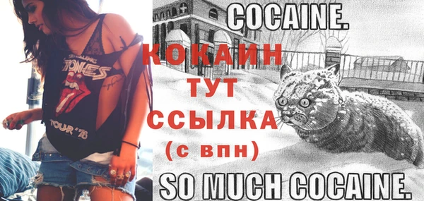 альфа пвп Новокубанск