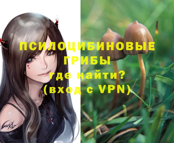 дурь Алзамай