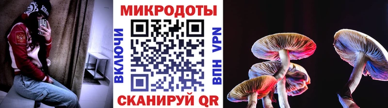 ссылка на мегу рабочий сайт Тамбов Галлюциногенные грибы Magic Shrooms